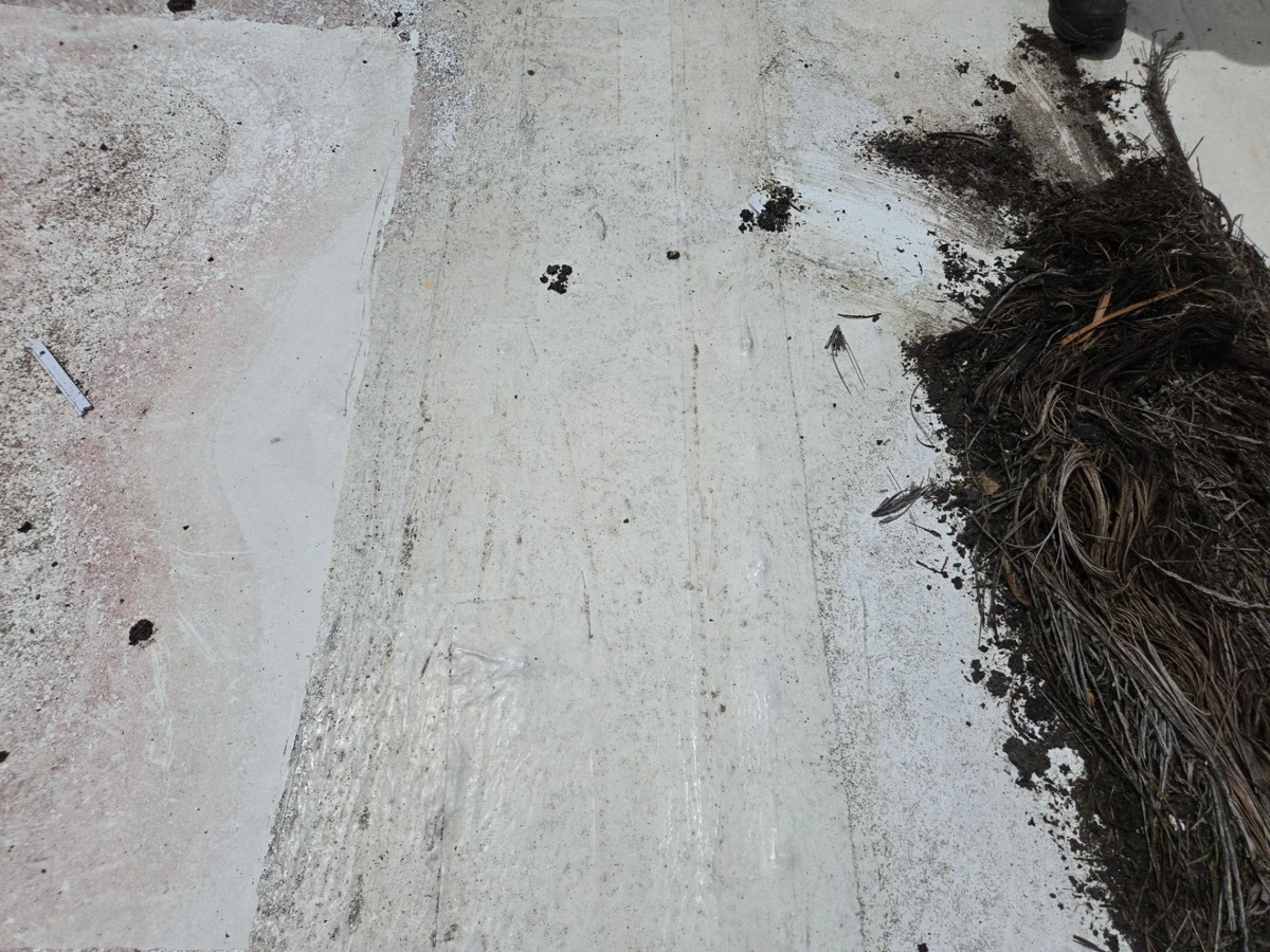 Actual KLR job: leaves accumulated on a low-slope roof
